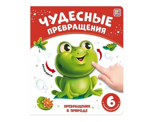 Чудесные превращения. Превращения в природе