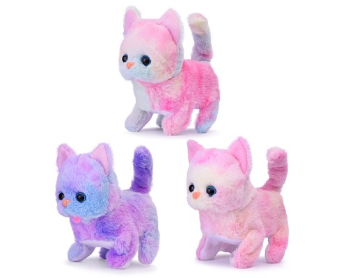 Кошка "Симка" в пакете