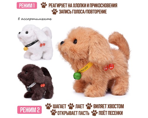 Собака "Ричи" (бегает, записывает, лает, виляет хвостом, открывает пасть) в пакете