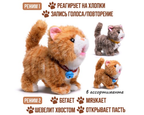 Кошка "Мурка" (бегает, записывает, мяукает, шевелит хвостом, открывает пасть) в пакете