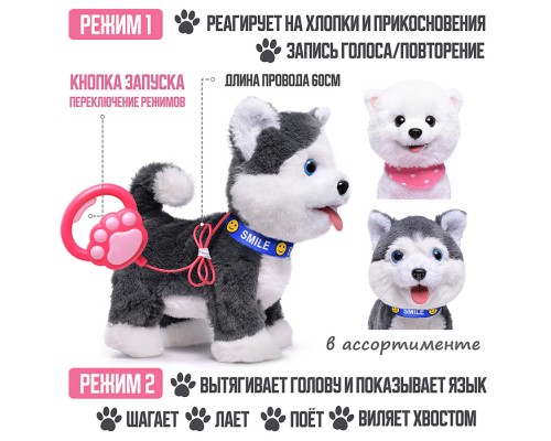 Собака "Джек" (записывает, поёт, двигается) в пакете