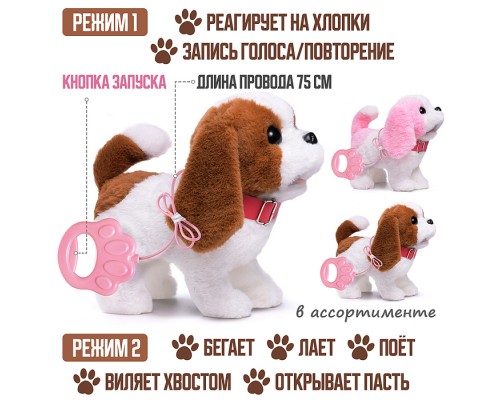 Собака "Лорд" (записывает, поёт, двигается) в пакете