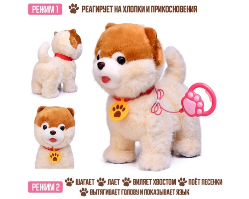 Собака "Шади" (поет, ходит, повторяет) в пакете