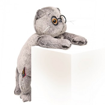 Кот Басик в очках