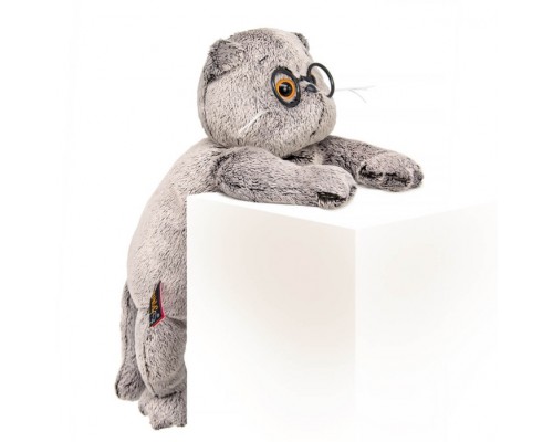 Кот Басик в очках