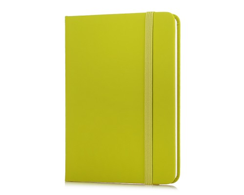 Записная книжка A6 (105 ммx145 мм) 160 стр, кремовая бумага 70 г/м&sup2; в клетку, печать в 1 краску, твердая обложка из искусственной кожи с покрытием Soft Touch, вертикальная резинка, закругленные уголки, 1 ляссе, в термоусадочной пленке, салатовая