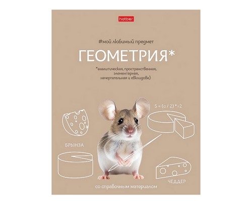 Тетрадь 48л клетка "Мой любимый предмет" Геометрия, А5 на скобе. Soft-touch