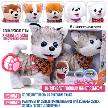 Собака "Боня" (может говорить, ходит, записывает)  в коробке