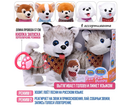 Собака "Боня" (может говорить, ходит, записывает)  в коробке