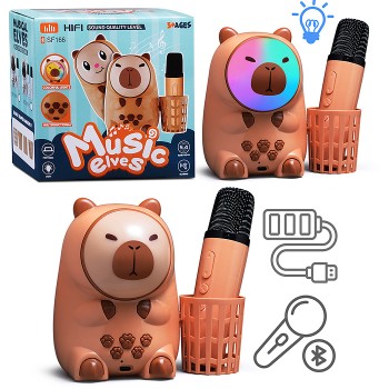 Караоке - центр игрушечный "Поем вместе" в коробке