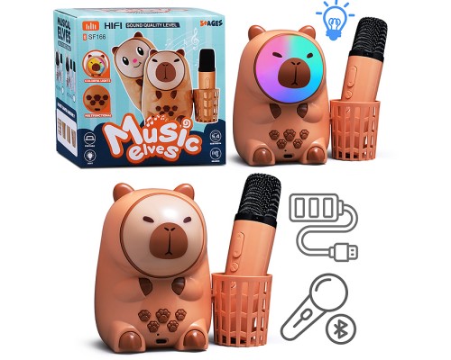 Караоке - центр игрушечный "Поем вместе" в коробке