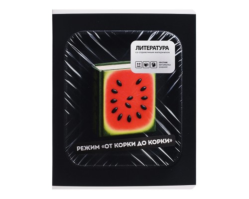 Тетрадь 48 л. линия "Фразы с характером" Литература