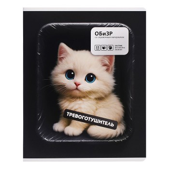 Тетрадь 48 л. клетка "Фразы с характером" ОБиЗР