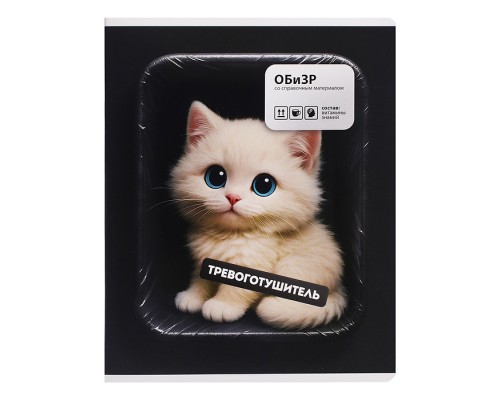 Тетрадь 48 л. клетка "Фразы с характером" ОБиЗР