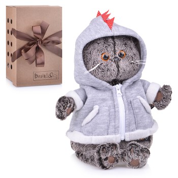 Кот Басик в толстовке дракончик