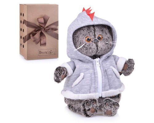 Кот Басик в толстовке дракончик