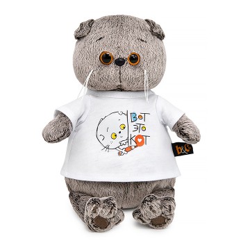 Кот Басик в футболке с принтом "Вот это кот" Мультсериал