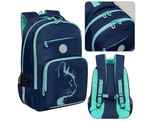 Рюкзак школьный (/1 синий)