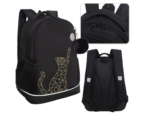 Рюкзак школьный (/1 чёрный - золото)