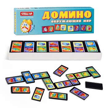 Домино №6 "Окружающий мир"
