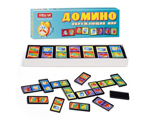 Домино №6 "Окружающий мир"