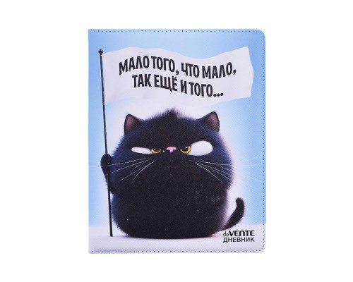 Дневник 1-11кл.  "Мало того, что мало..." универсальный блок, 48 листов, белая бумага 80 г/м&sup2;, печать в 1 краску, твердая обложка из искусственной антивандальной кожи с поролоном, цветная печать, отстрочка, 1 ляссе