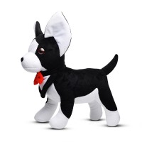 Чихуахуа Лорд чёрный В30