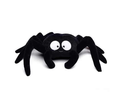 Паук Черныш