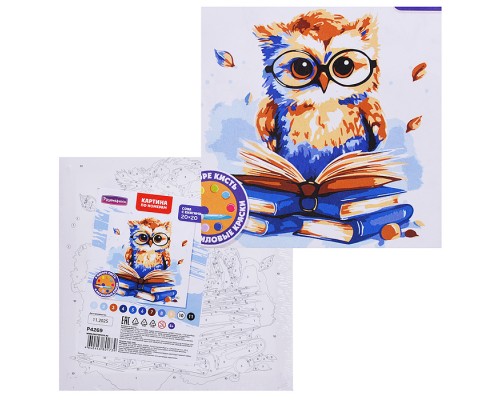 Картина по номерам "Сова с книгами" 20х20см