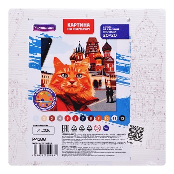 Картина по номерам "Котик на красной площади" 20х20см