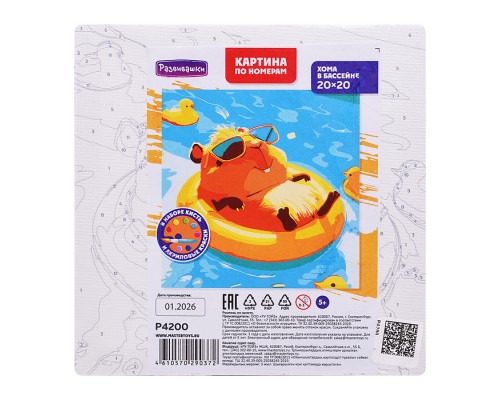 Картина по номерам "Хома в бассейне" 20х20см