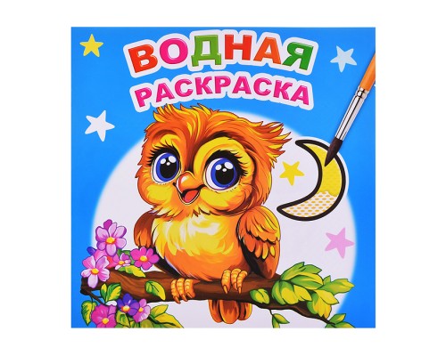 Водная раскраска. Совенок