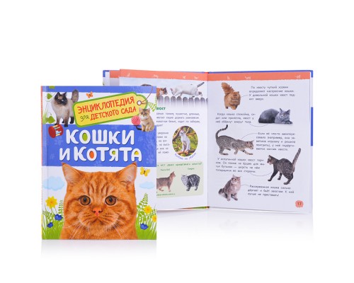 Кошки и котята (Энциклопедия для детского сада)