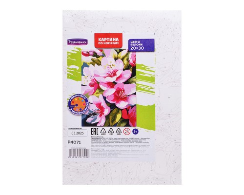 Картина по номерам "Цветы яблони" 20х30