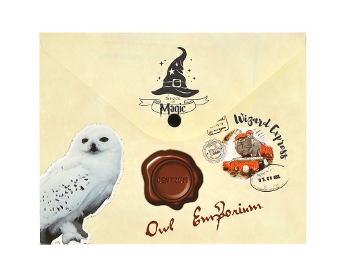 Папка-конверт на кнопке А5, пластик, "Школа магии" 180 мкм, двусторонняя печать