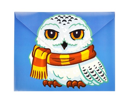 Папка-конверт на кнопке А5, пластик, "Сова" 180 мкм, двусторонняя печать