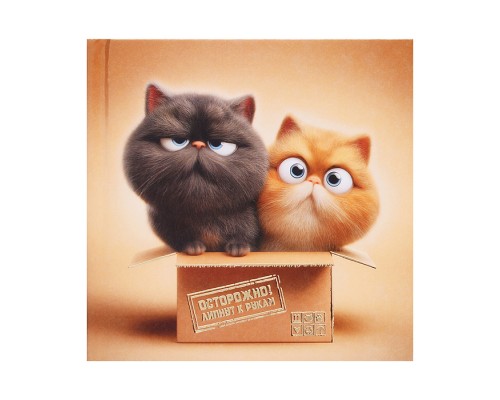 Блокнот 48л. "Коты в коробке" 105х105 мм, клетка
