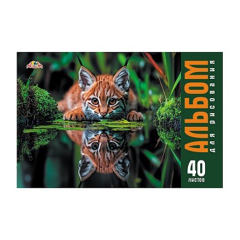 Альбом для рисования 40л. цв.мелов.карт.облож."Дикий котенок"