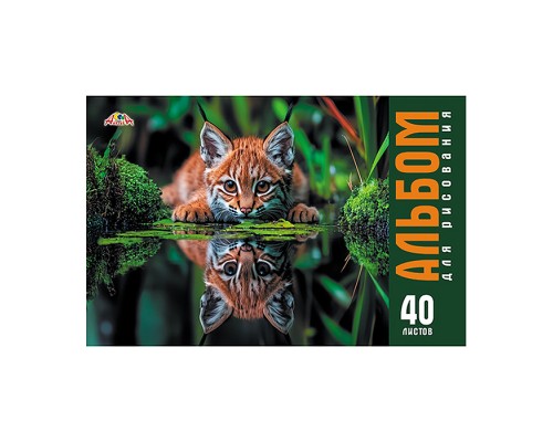 Альбом для рисования 40л. цв.мелов.карт.облож."Дикий котенок"