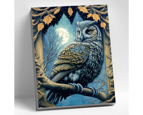 Картина по номерам 40х50 "Ночная сова" (20 цветов)