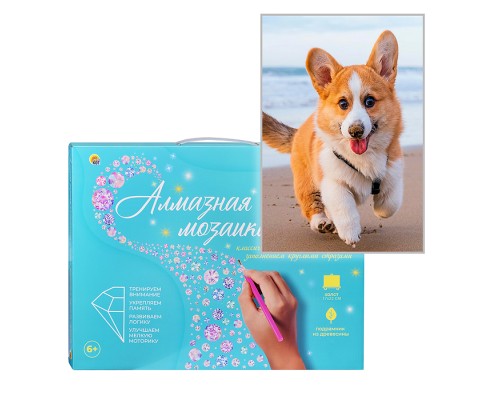 Алмазная мозаика 17х22 "Корги на пляже" с подр., с полным заполн. (20цв) (блест.)