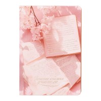 Записная книга учителя, преподавателя А5 96л. "Рукопись"