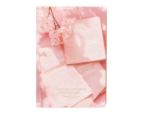 Записная книга учителя, преподавателя А5 96л. "Рукопись"