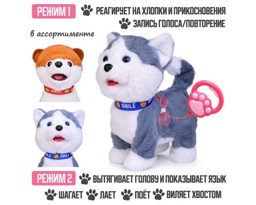 Собака "Джек" (записывает, поёт, двигается) в пакете