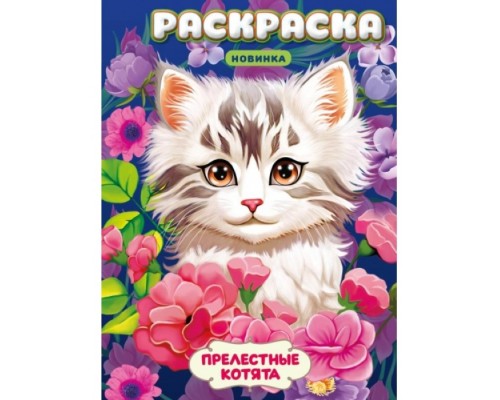 Прелестные котята. Раскраска