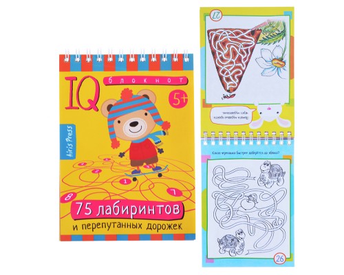 Умный блокнот. 75 лабиринтов