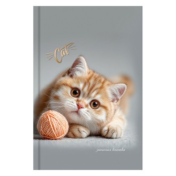 Записная книжка А6 64л. "Котенок с клубком" 7БЦ,глянц.ламинирование,цвет.мелов.обл.