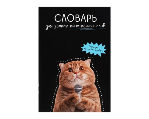 Тетрадь для изучения иностранных слов "Кот с микрофоном" А5, 24 л.