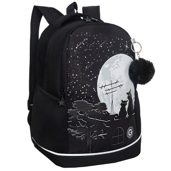 Рюкзак школьный (/1 чёрный)