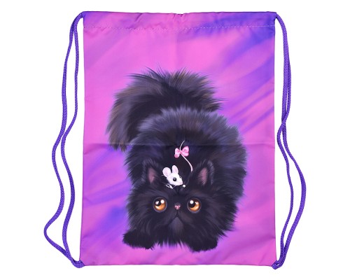 Мешок для обуви "Черный кот" 1 отделение, 330х420мм, петля для подвеса, полиэстер, 210 ден